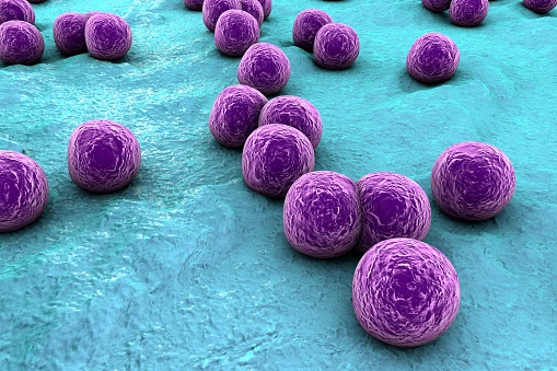 Anti Microbial Additives