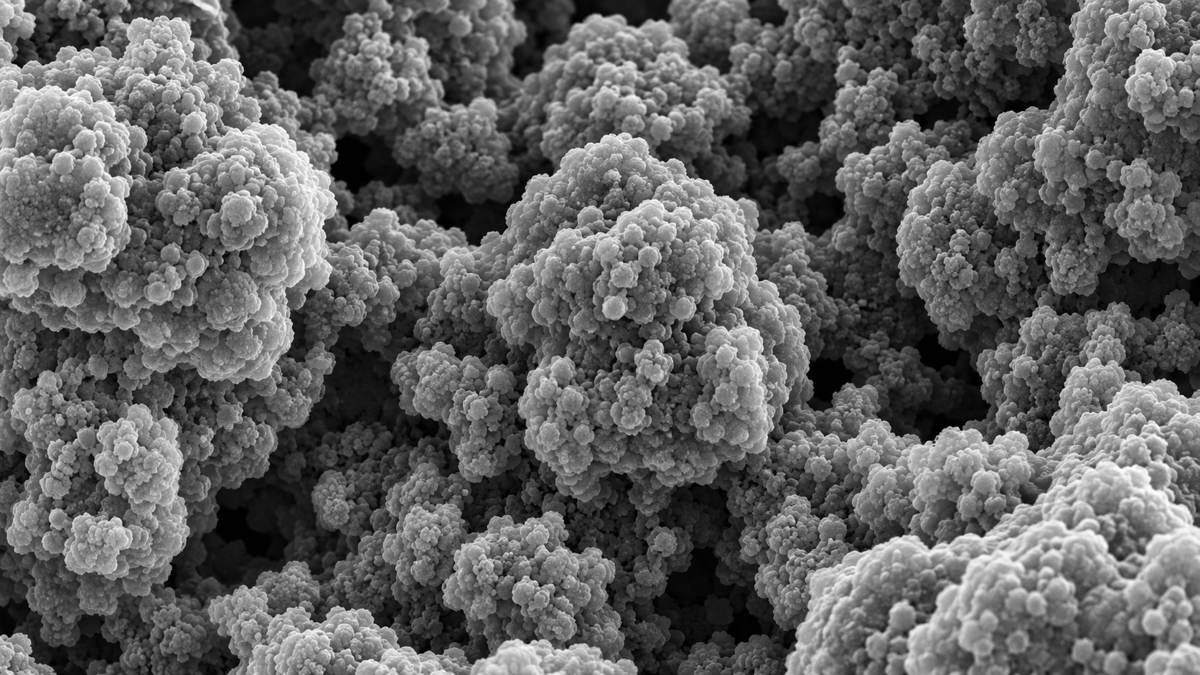 Illustrative SEM-style visualization of clustered silica particles